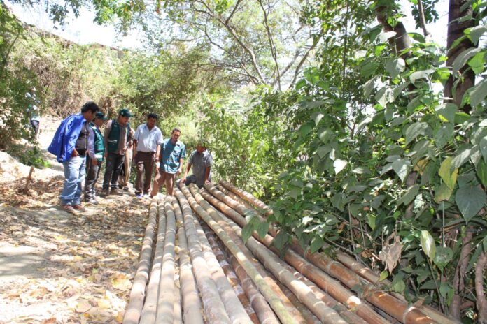 Piura: impulsan manejo sostenible de recursos forestales en Yamango Piura: impulsan manejo sostenible de recursos forestales en Yamango