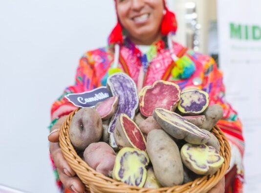 Papa peruana fortalece su presencia internacional con exportaciones a 13 mercados Papa peruana fortalece su presencia internacional con exportaciones a 13 mercados