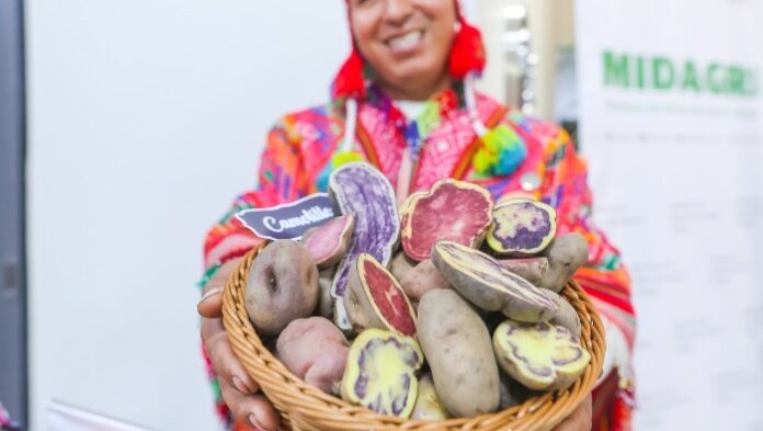 Papa peruana fortalece su presencia internacional con exportaciones a 13 mercados