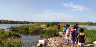 Piura inicia acciones para recuperar el humedal Santa Julia Piura inicia acciones para recuperar el humedal Santa Julia