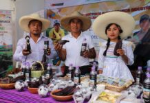 Cajamarca exhibe innovadores productos con maíz morado en el IV Festival del Conocimiento y Emprendimiento Cajamarca exhibe innovadores productos con maíz morado en el IV Festival del Conocimiento y Emprendimiento