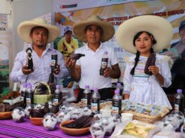 Cajamarca exhibe innovadores productos con maíz morado en el IV Festival del Conocimiento y Emprendimiento Cajamarca exhibe innovadores productos con maíz morado en el IV Festival del Conocimiento y Emprendimiento