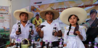 Cajamarca exhibe innovadores productos con maíz morado en el IV Festival del Conocimiento y Emprendimiento Cajamarca exhibe innovadores productos con maíz morado en el IV Festival del Conocimiento y Emprendimiento