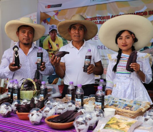 Cajamarca exhibe innovadores productos con maíz morado en el IV Festival del Conocimiento y Emprendimiento Cajamarca exhibe innovadores productos con maíz morado en el IV Festival del Conocimiento y Emprendimiento