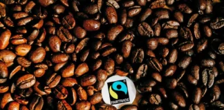 Perú acoge el II Foro de Café Fairtrade con representantes de 11 países Perú acoge el II Foro de Café Fairtrade con representantes de 11 países