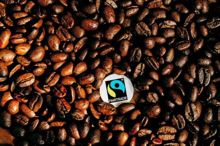 Perú acoge el II Foro de Café Fairtrade con representantes de 11 países