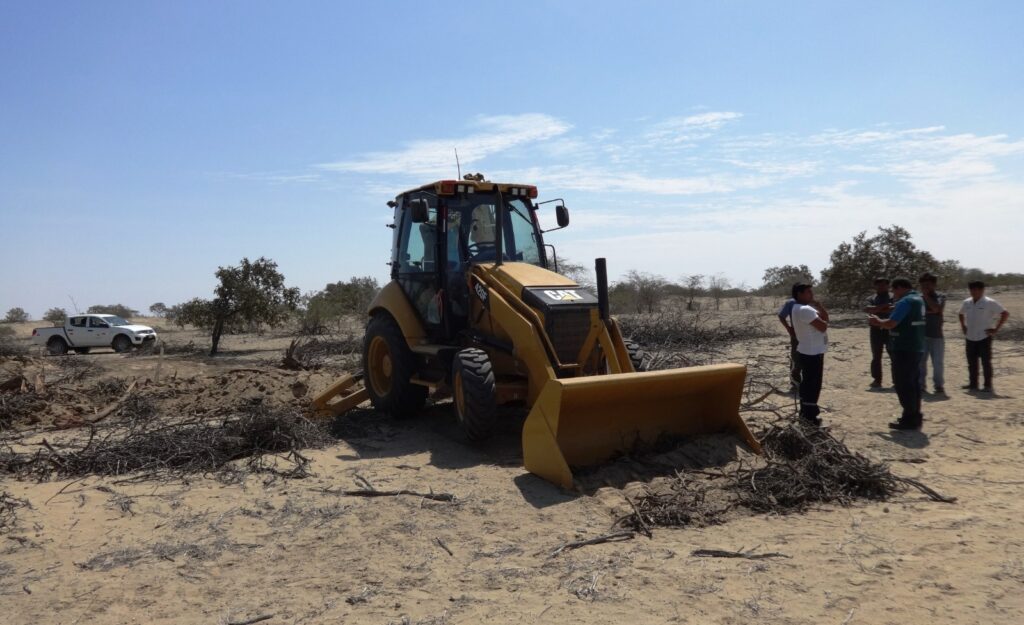 SERFOR anuncia acciones para frenar la tala ilegal en los bosques secos de Sechura SERFOR anuncia acciones para frenar la tala ilegal en los bosques secos de Sechura