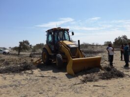 SERFOR anuncia acciones para frenar la tala ilegal en los bosques secos de Sechura SERFOR anuncia acciones para frenar la tala ilegal en los bosques secos de Sechura
