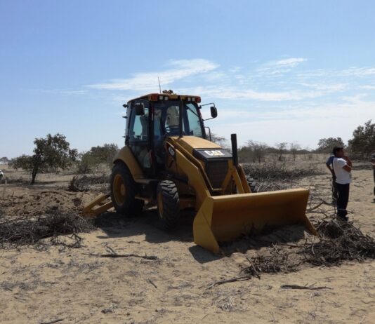 SERFOR anuncia acciones para frenar la tala ilegal en los bosques secos de Sechura SERFOR anuncia acciones para frenar la tala ilegal en los bosques secos de Sechura