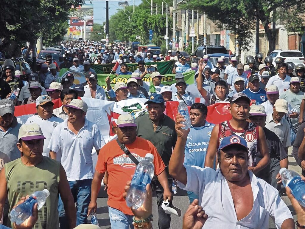 Agricultores de Piura confirman paro regional por precio del arroz este 18 de mayo