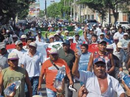 Agricultores de Piura confirman paro regional por precio del arroz este 18 de mayo Agricultores de Piura confirman paro regional por precio del arroz este 18 de mayo