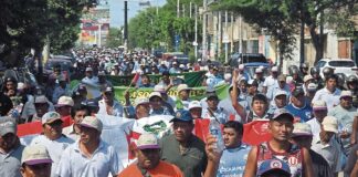 Agricultores de Piura confirman paro regional por precio del arroz este 18 de mayo Agricultores de Piura confirman paro regional por precio del arroz este 18 de mayo