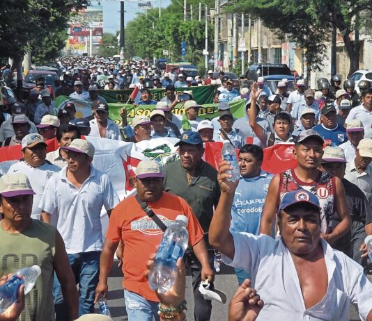 Agricultores de Piura confirman paro regional por precio del arroz este 18 de mayo Agricultores de Piura confirman paro regional por precio del arroz este 18 de mayo