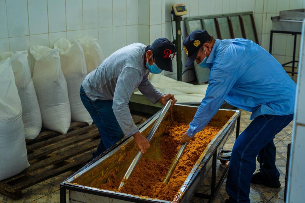 Mejoras tecnológicas elevan hasta en 90 % la producción de panela en Piura