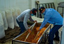 Mejoras tecnológicas elevan hasta en 90 % la producción de panela en Piura Mejoras tecnológicas elevan hasta en 90 % la producción de panela en Piura