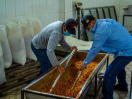 Mejoras tecnológicas elevan hasta en 90 % la producción de panela en Piura Mejoras tecnológicas elevan hasta en 90 % la producción de panela en Piura