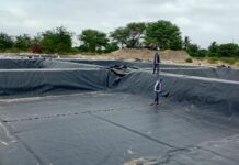 Invierten S/ 350,000 para modernizar la crianza de tilapia en Piura Invierten S/ 350,000 para modernizar la crianza de tilapia en Piura
