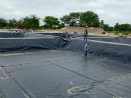 Invierten S/ 350,000 para modernizar la crianza de tilapia en Piura Invierten S/ 350,000 para modernizar la crianza de tilapia en Piura