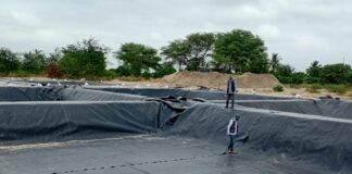 Invierten S/ 350,000 para modernizar la crianza de tilapia en Piura Invierten S/ 350,000 para modernizar la crianza de tilapia en Piura