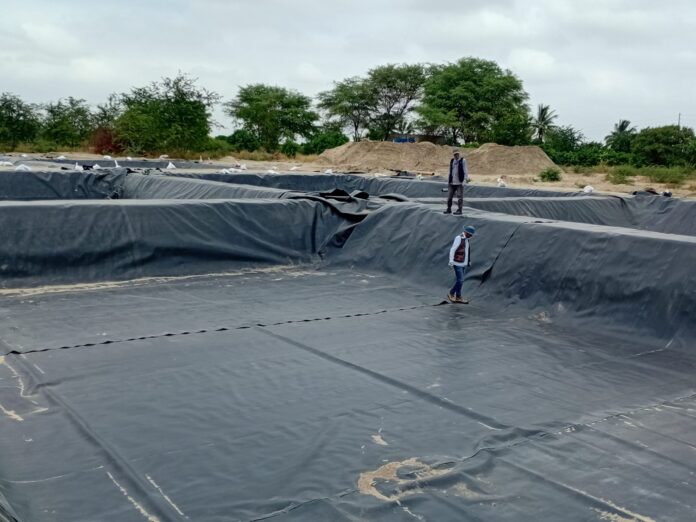 Invierten S/ 350,000 para modernizar la crianza de tilapia en Piura