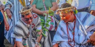 Proyecto agrícola impulsa el cultivo de cítricos y palto en la selva central con inversión de S/ 6.6 millones Proyecto agrícola impulsa el cultivo de cítricos y palto en la selva central con inversión de S/ 6.6 millones