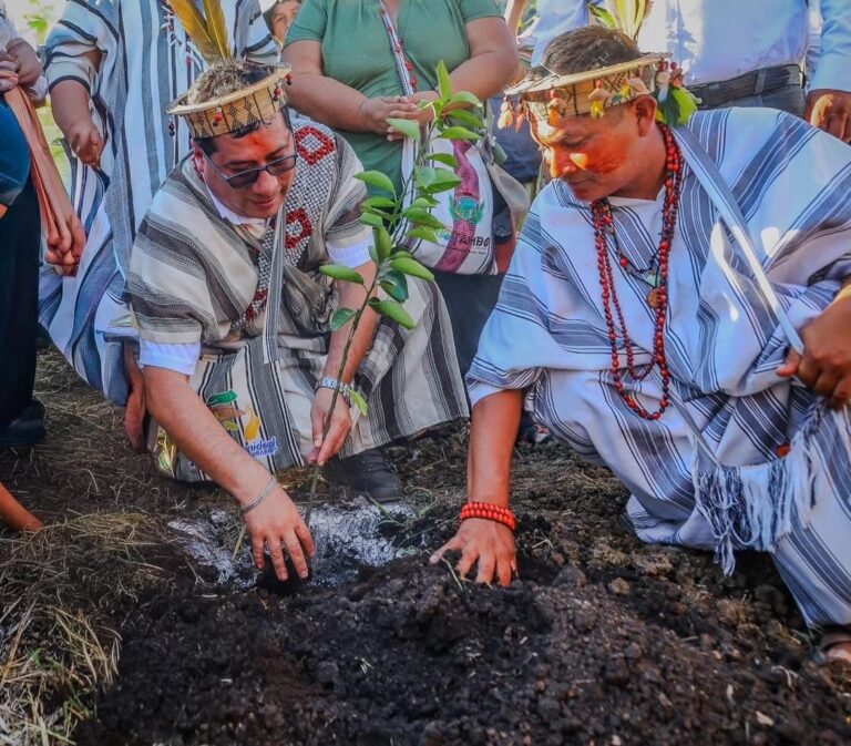 Proyecto agrícola impulsa el cultivo de cítricos y palto en la selva central con inversión de S/ 6.6 millones