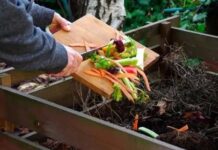 Reciclaje en casa: así se puede elaborar compost con restos orgánicos Reciclaje en casa: así se puede elaborar compost con restos orgánicos