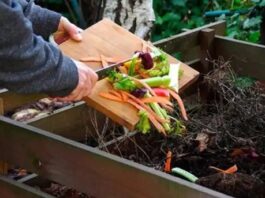 Reciclaje en casa: así se puede elaborar compost con restos orgánicos Reciclaje en casa: así se puede elaborar compost con restos orgánicos