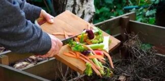 Reciclaje en casa: así se puede elaborar compost con restos orgánicos Reciclaje en casa: así se puede elaborar compost con restos orgánicos