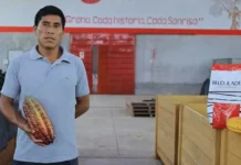 182 familias productoras de cacao en Pucallpa reciben “Bono Chocolate” por calidad de producción 182 familias productoras de cacao en Pucallpa reciben “Bono Chocolate” por calidad de producción