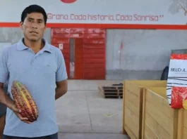 182 familias productoras de cacao en Pucallpa reciben “Bono Chocolate” por calidad de producción 182 familias productoras de cacao en Pucallpa reciben “Bono Chocolate” por calidad de producción