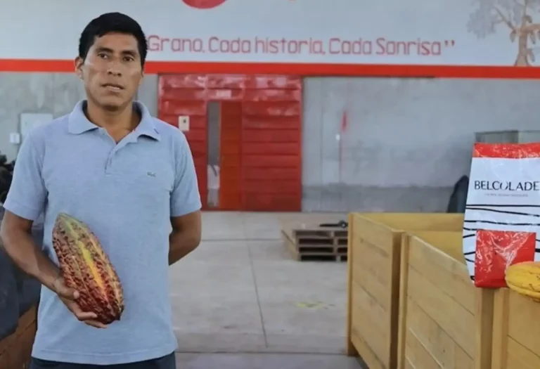 182 familias productoras de cacao en Pucallpa reciben “Bono Chocolate” por calidad de producción