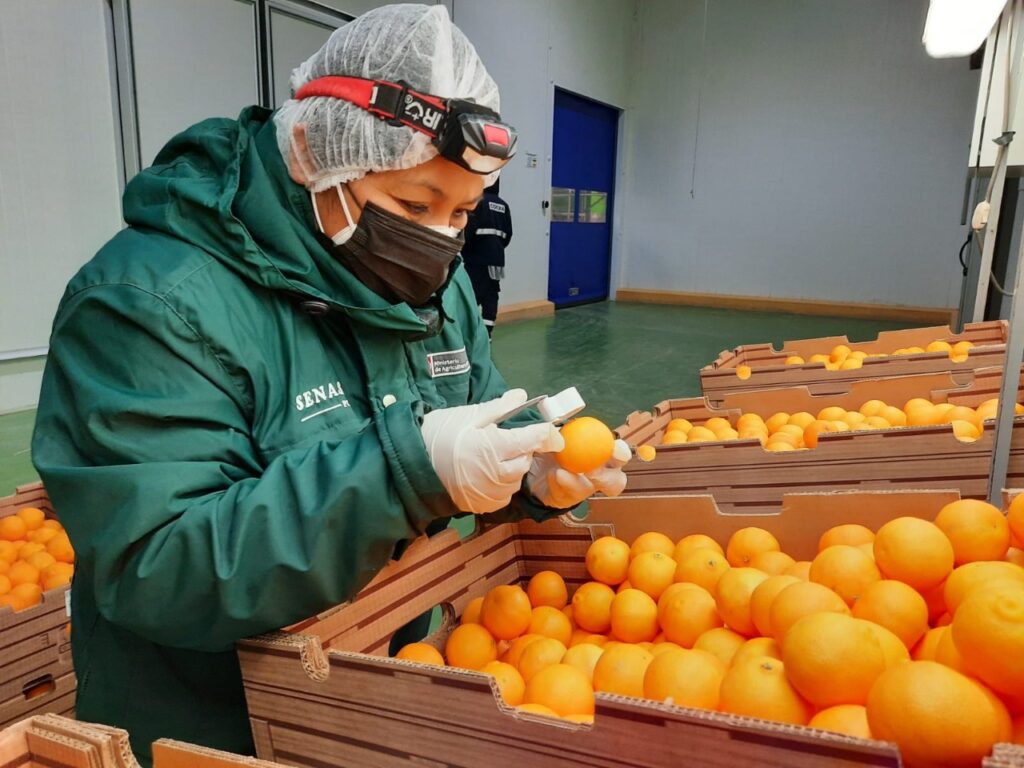 Perú impulsa sanidad agrícola y alcanza exportaciones a 115 mercados