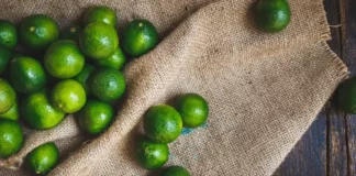 Caen exportaciones de limón peruano por menor precio y oferta en mercados internacionales Caen exportaciones de limón peruano por menor precio y oferta en mercados internacionales
