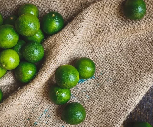 Caen exportaciones de limón peruano por menor precio y oferta en mercados internacionales Caen exportaciones de limón peruano por menor precio y oferta en mercados internacionales
