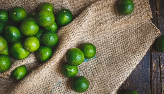 Caen exportaciones de limón peruano por menor precio y oferta en mercados internacionales