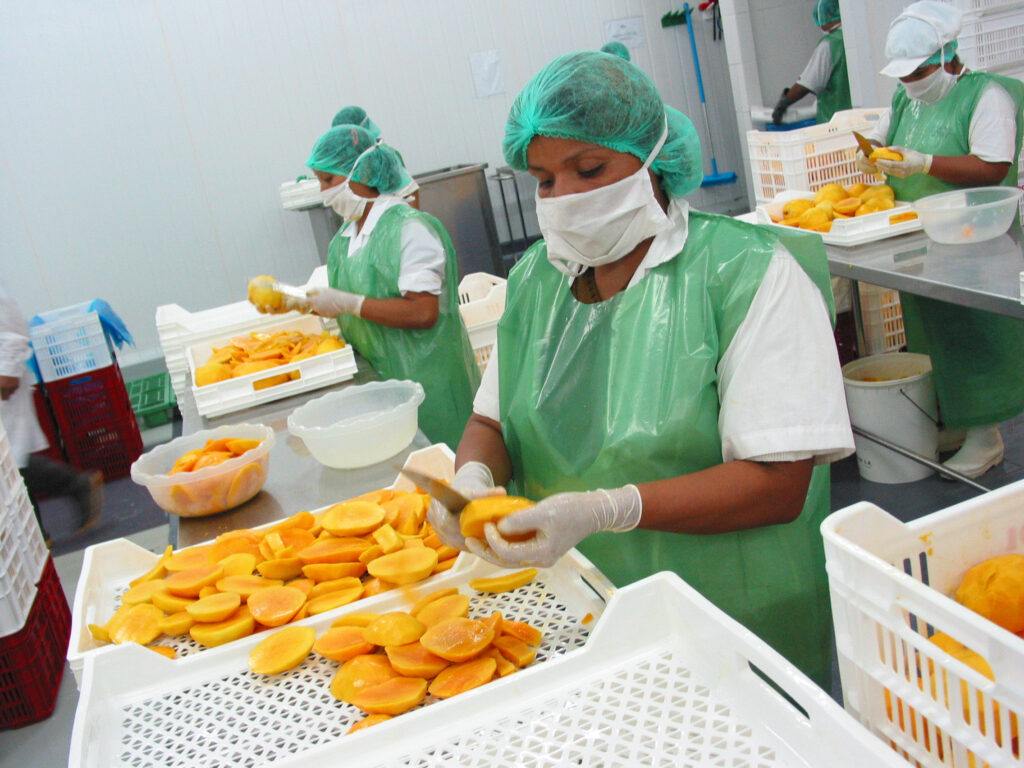 Agroexportaciones peruanas crecen 6.4% en el primer trimestre de 2026