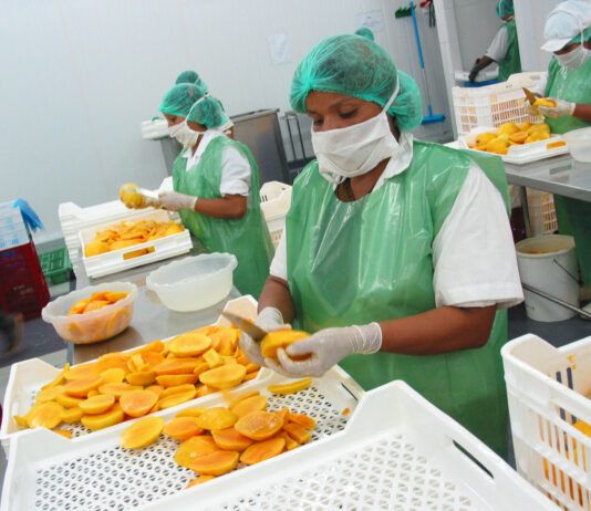 Agroexportaciones peruanas crecen 6.4% en el primer trimestre de 2026 Agroexportaciones peruanas crecen 6.4% en el primer trimestre de 2026