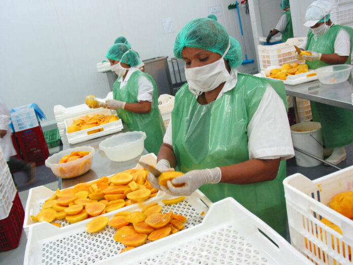 Agroexportaciones peruanas crecen 6.4% en el primer trimestre de 2026