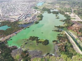 Piura: Mesa Territorial aprueba plan 2026-2030 para proteger el Humedal Santa Julia Piura: Mesa Territorial aprueba plan 2026-2030 para proteger el Humedal Santa Julia