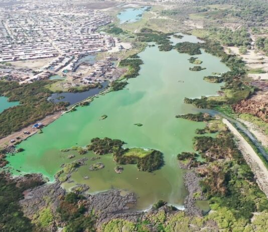 Piura: Mesa Territorial aprueba plan 2026-2030 para proteger el Humedal Santa Julia Piura: Mesa Territorial aprueba plan 2026-2030 para proteger el Humedal Santa Julia