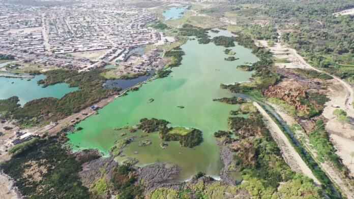 Piura: Mesa Territorial aprueba plan 2026-2030 para proteger el Humedal Santa Julia Piura: Mesa Territorial aprueba plan 2026-2030 para proteger el Humedal Santa Julia