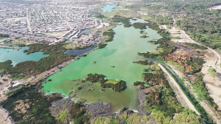 Piura: Mesa Territorial aprueba plan 2026-2030 para proteger el Humedal Santa Julia