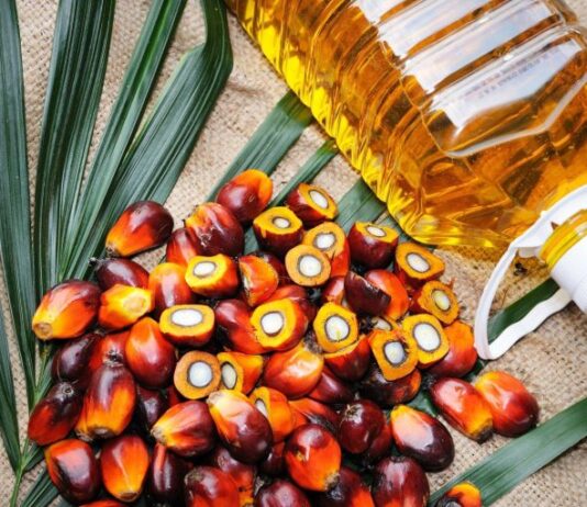 Exportaciones de palma aceitera caen 16% en el primer cuatrimestre de 2026 Exportaciones de palma aceitera caen 16% en el primer cuatrimestre de 2026
