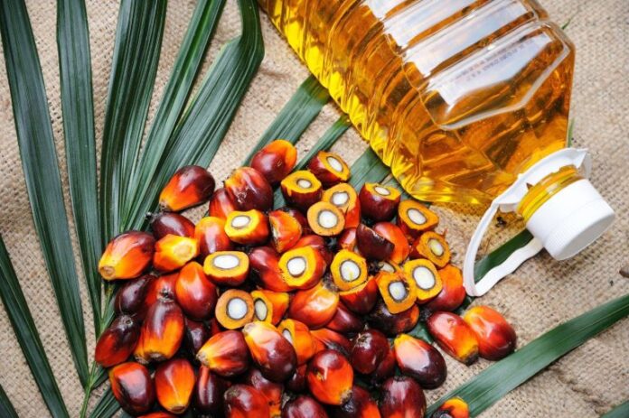 Exportaciones de palma aceitera caen 16% en el primer cuatrimestre de 2026 Exportaciones de palma aceitera caen 16% en el primer cuatrimestre de 2026