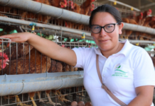 Más de 200 organizaciones de mujeres rurales acceden a financiamiento para emprendimientos agrícolas Más de 200 organizaciones de mujeres rurales acceden a financiamiento para emprendimientos agrícolas