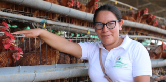 Más de 200 organizaciones de mujeres rurales acceden a financiamiento para emprendimientos agrícolas Más de 200 organizaciones de mujeres rurales acceden a financiamiento para emprendimientos agrícolas