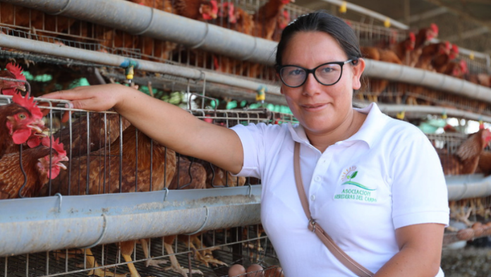 Más de 200 organizaciones de mujeres rurales acceden a financiamiento para emprendimientos agrícolas
