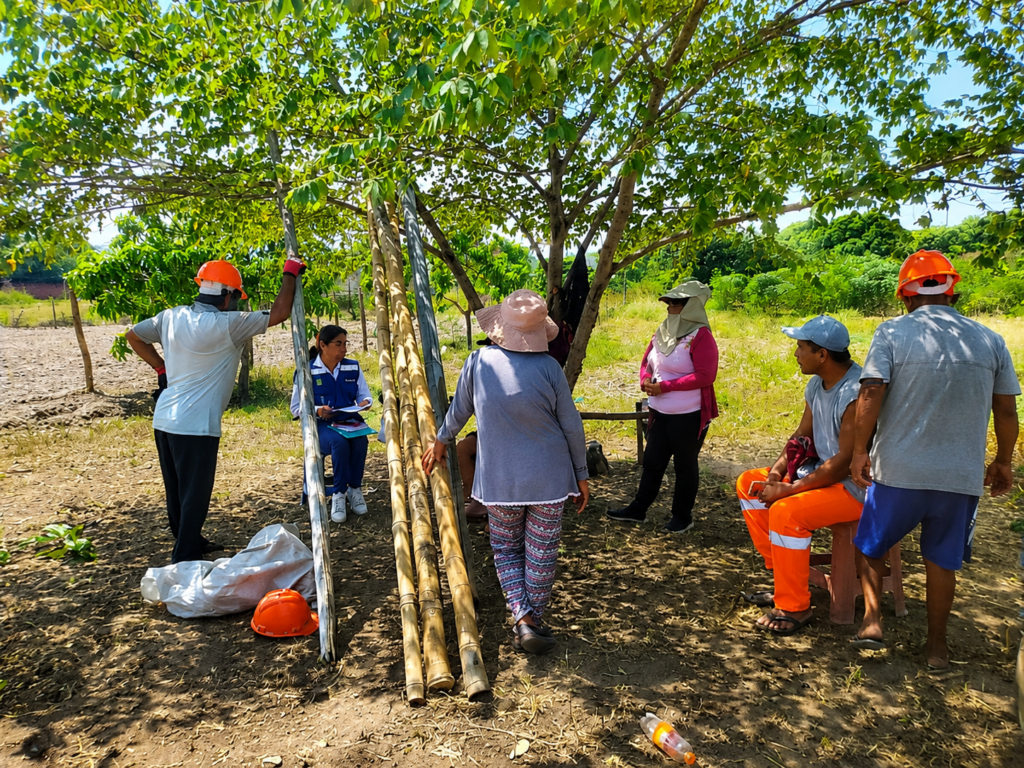 Productores agropecuarios de Piura podrán formalizar asociaciones para acceder a beneficios del Estado