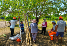 Productores agropecuarios de Piura podrán formalizar asociaciones para acceder a beneficios del Estado Productores agropecuarios de Piura podrán formalizar asociaciones para acceder a beneficios del Estado